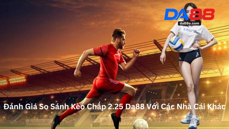 Cược Thẻ Phạt Bóng Đá